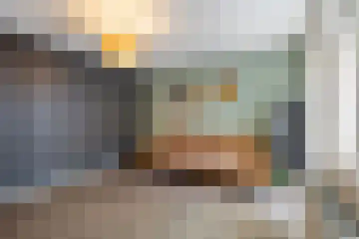 Schelling 20 Herkenbosch thumbnail 22