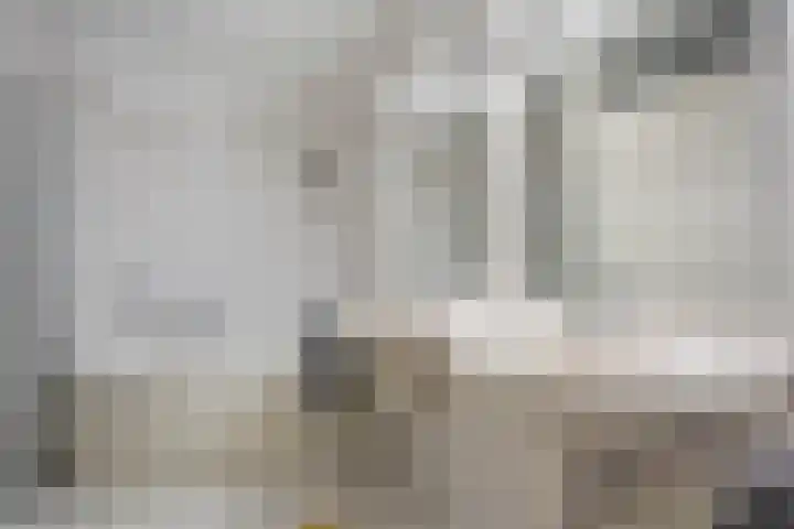 Schelling 20 Herkenbosch thumbnail 24