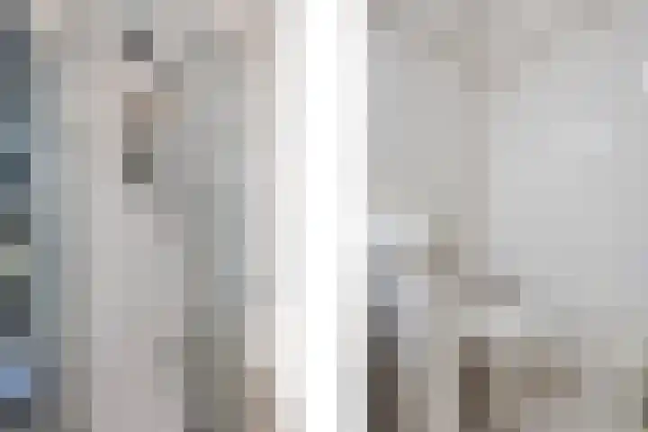 Schelling 20 Herkenbosch thumbnail 25