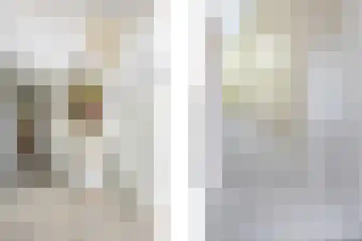 Schelling 20 Herkenbosch thumbnail 27