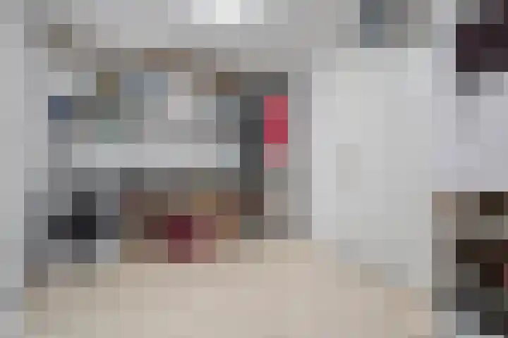 Schelling 20 Herkenbosch thumbnail 29