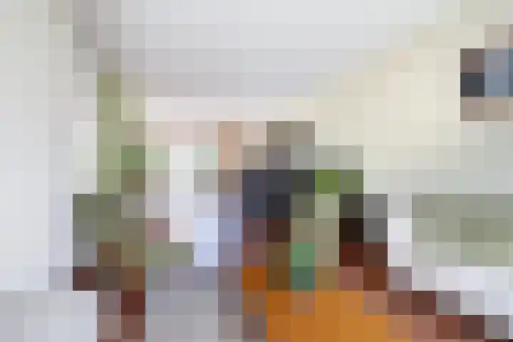 Schelling 20 Herkenbosch foto 3