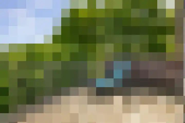 Schelling 20 Herkenbosch thumbnail 33