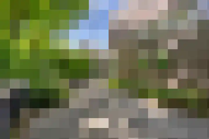 Schelling 20 Herkenbosch thumbnail 36