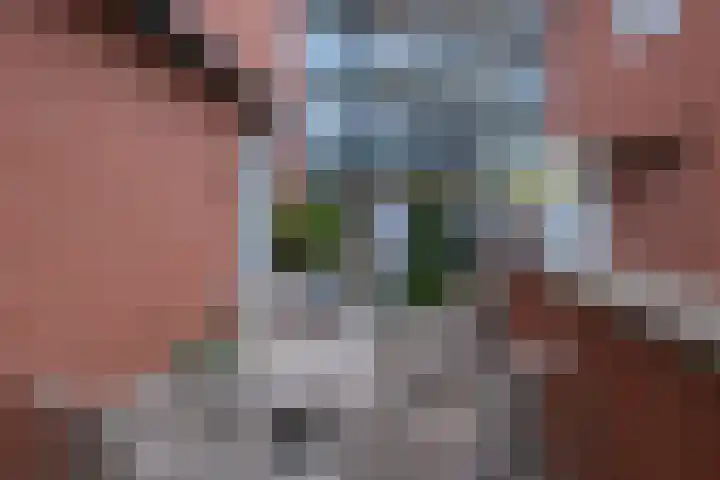 Schelling 20 Herkenbosch thumbnail 37