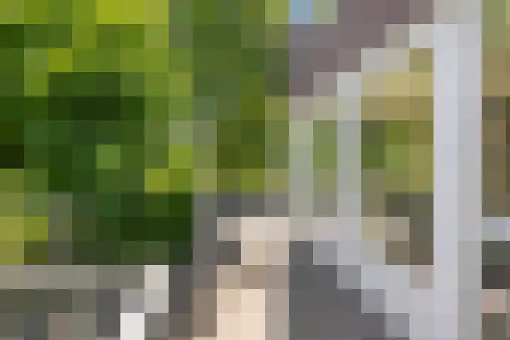 Schelling 20 Herkenbosch thumbnail 38