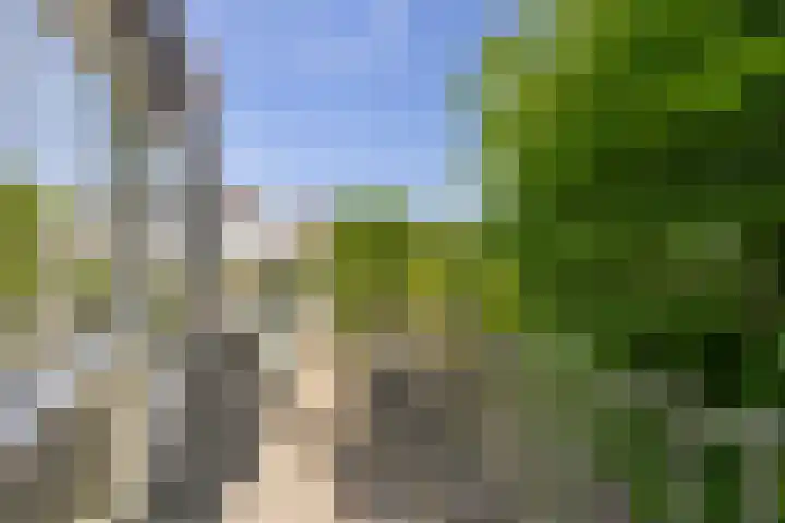 Schelling 20 Herkenbosch thumbnail 39