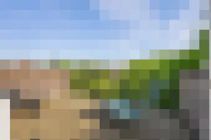 Schelling 20 Herkenbosch thumbnail 4