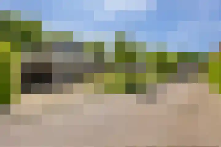 Schelling 20 Herkenbosch thumbnail 43