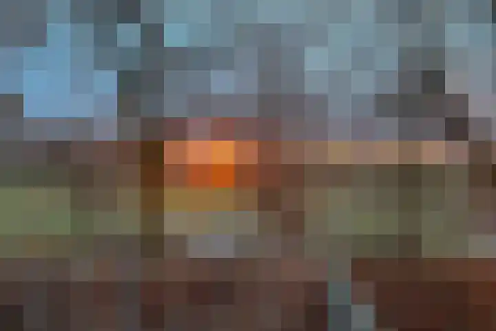 Schelling 20 Herkenbosch thumbnail 49
