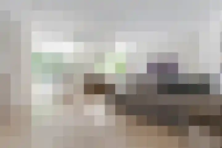 Schelling 20 Herkenbosch thumbnail 5