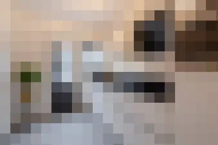 Schelling 20 Herkenbosch thumbnail 51