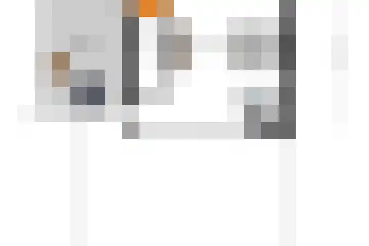 Schelling 20 Herkenbosch thumbnail 52