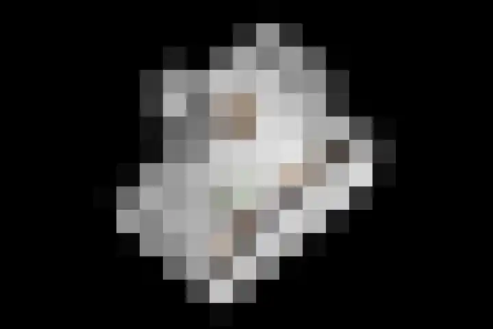 Schelling 20 Herkenbosch thumbnail 56