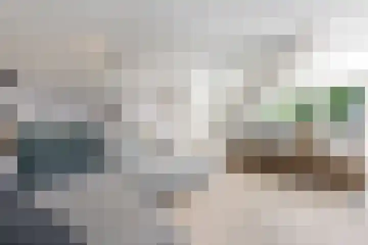 Schelling 20 Herkenbosch thumbnail 6