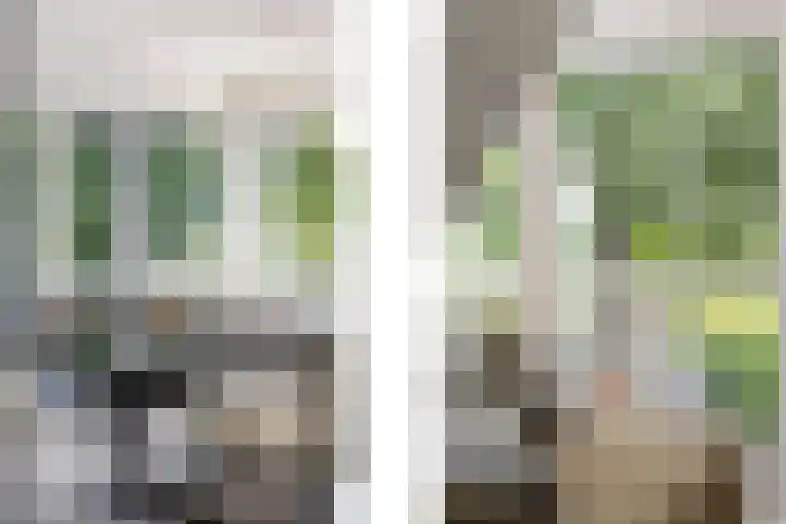 Schelling 20 Herkenbosch thumbnail 7