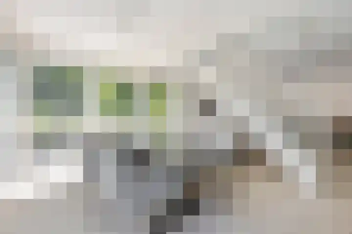 Schelling 20 Herkenbosch thumbnail 9