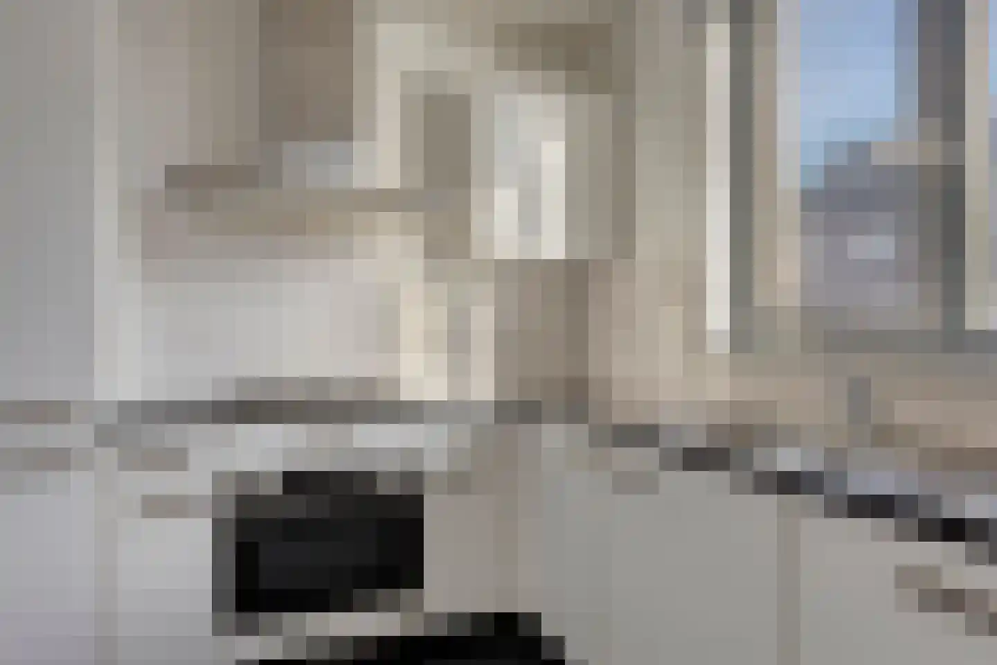 Schelling 29 Uden thumbnail 10