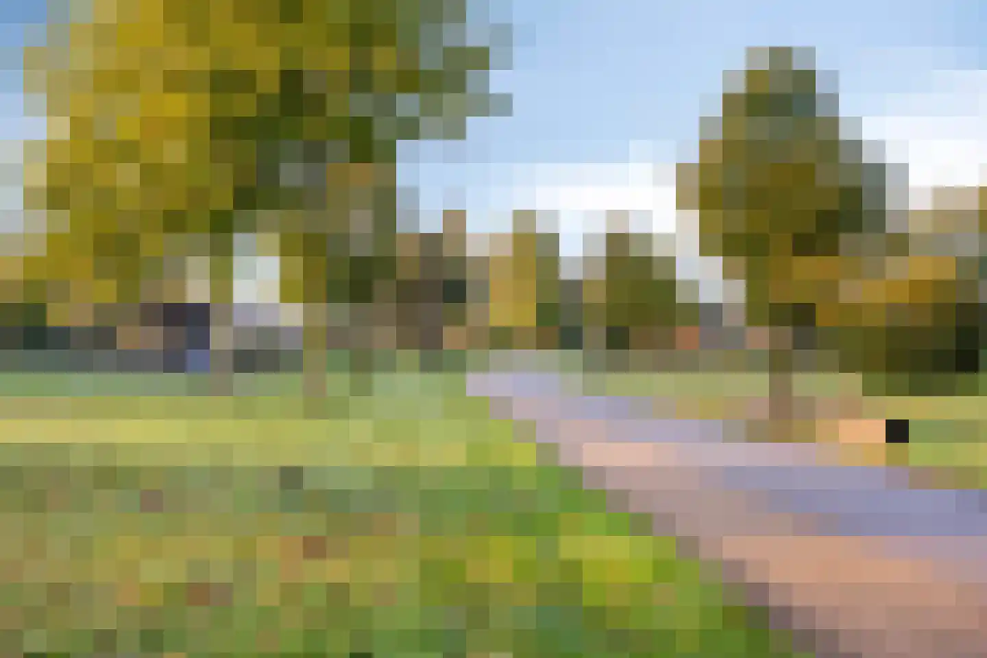 Schelling 29 Uden thumbnail 30
