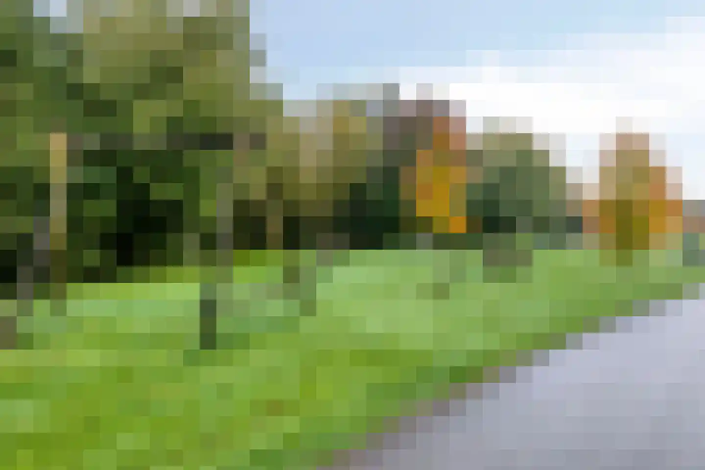 Schelling 29 Uden thumbnail 31