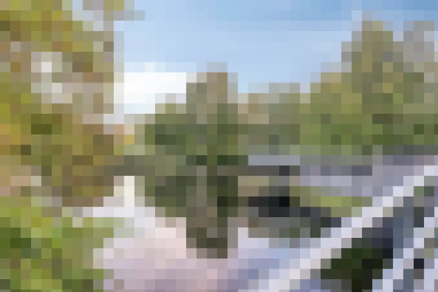 Schelling 29 Uden thumbnail 33