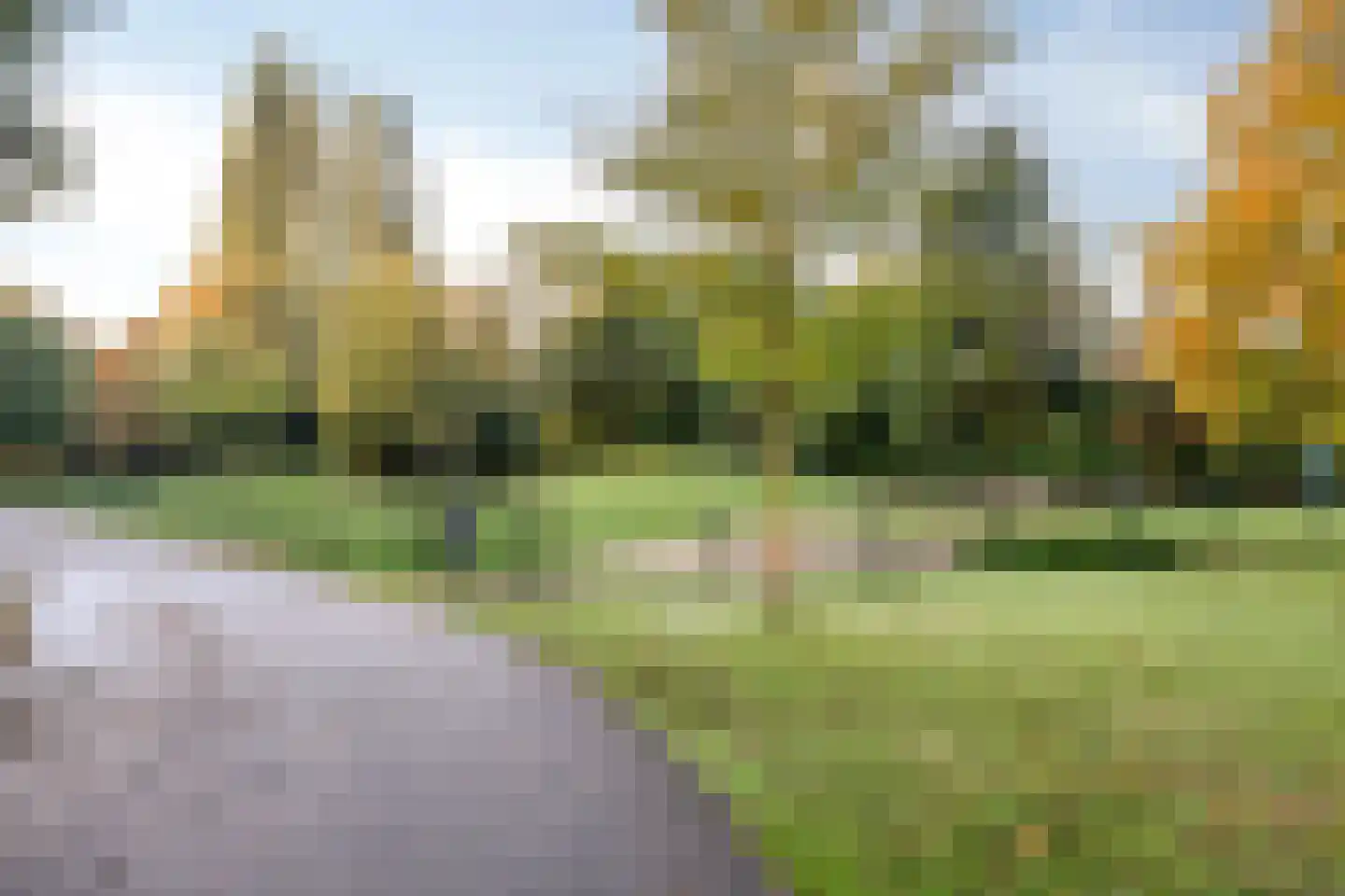 Schelling 29 Uden thumbnail 34