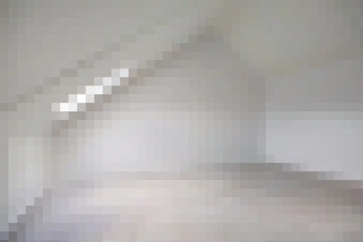 Schelling 43 Uden thumbnail 21