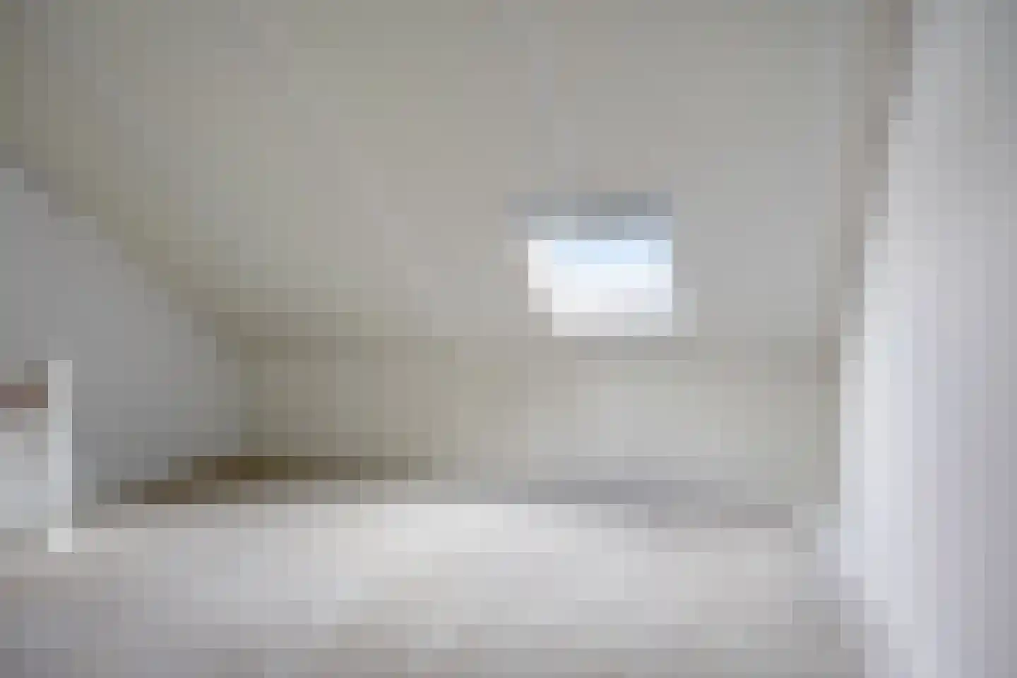 Schelling 43 Uden thumbnail 22