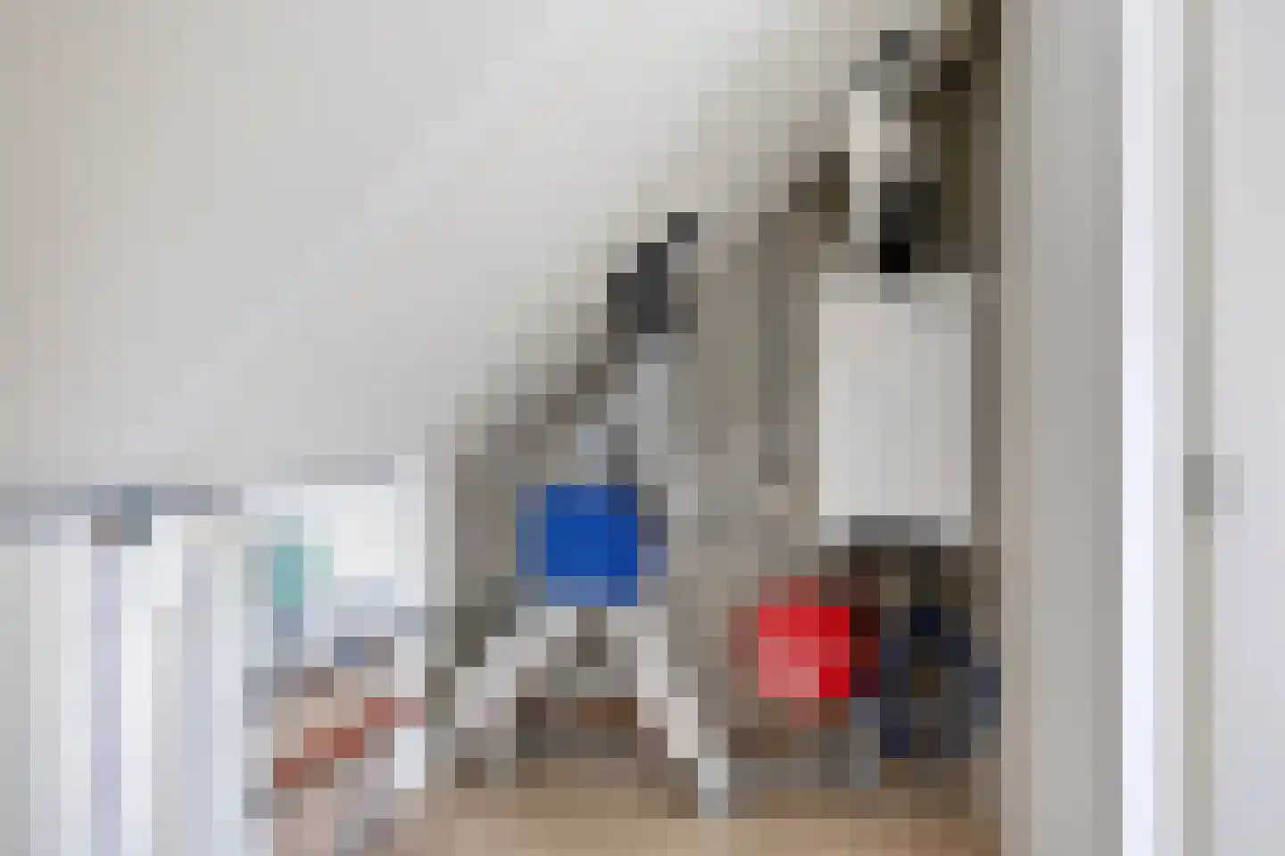 Schelling 43 Uden thumbnail 24