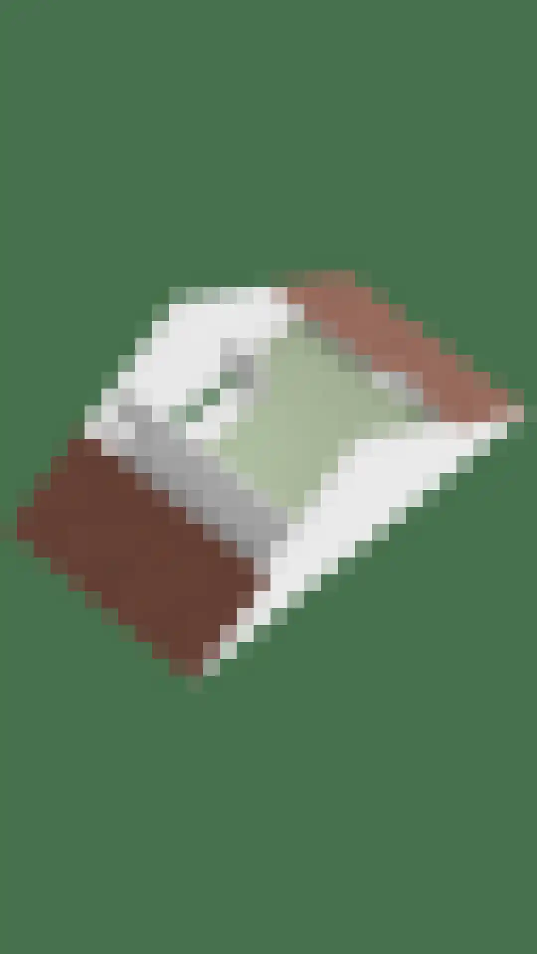 Schelling 43 Uden thumbnail 39