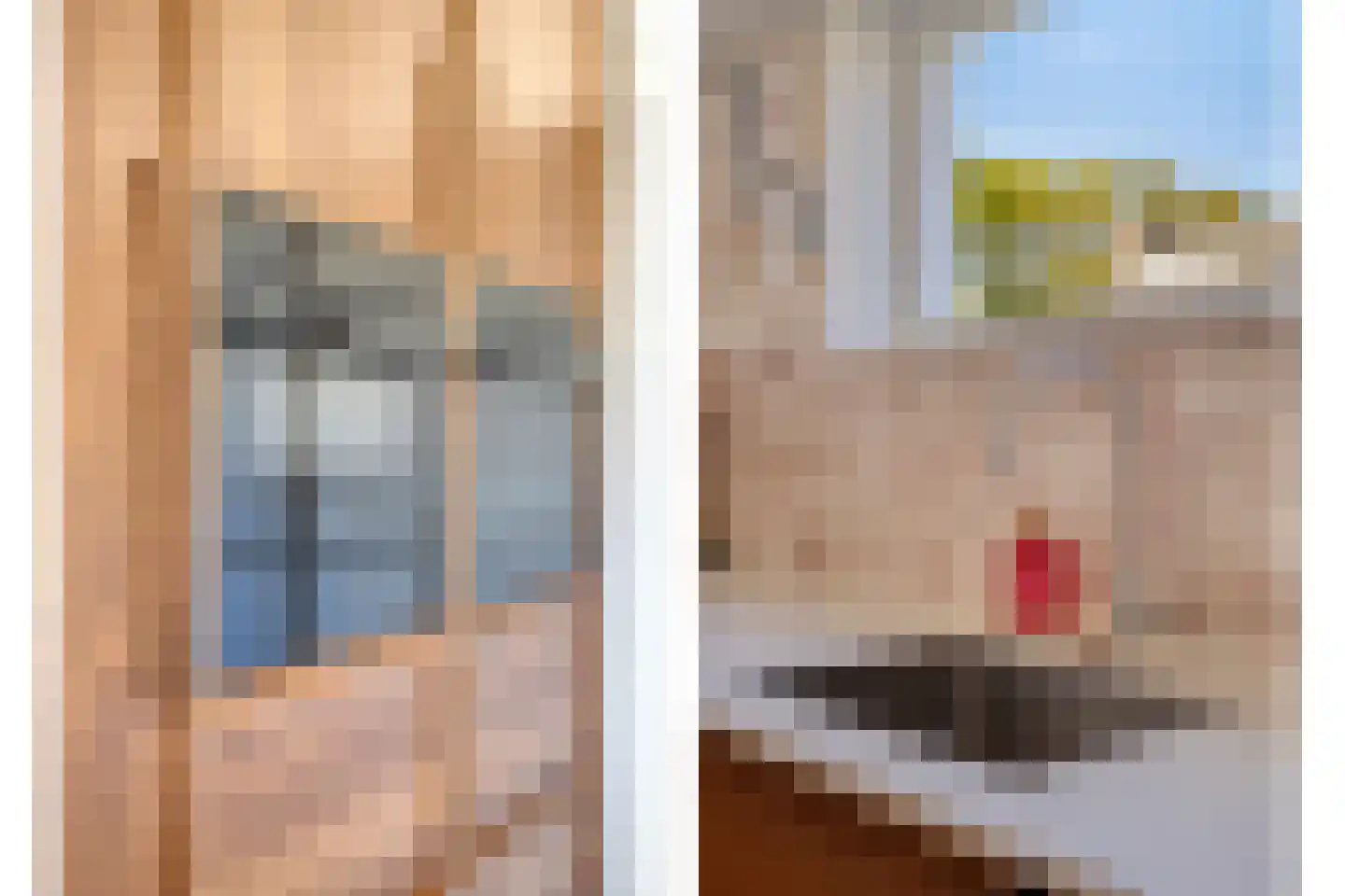 Schelling 6 Herkenbosch thumbnail 12