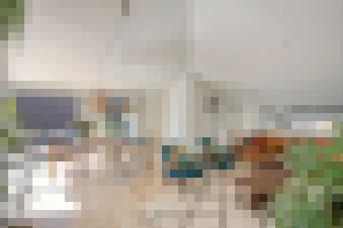 Schelling 6 Herkenbosch thumbnail 16