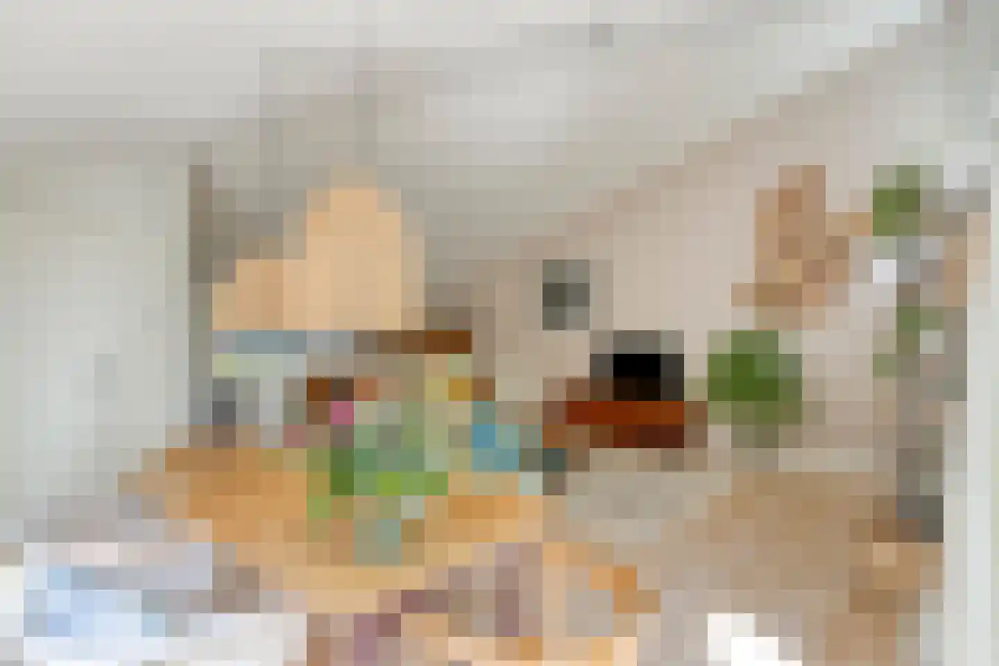 Schelling 6 Herkenbosch thumbnail 18