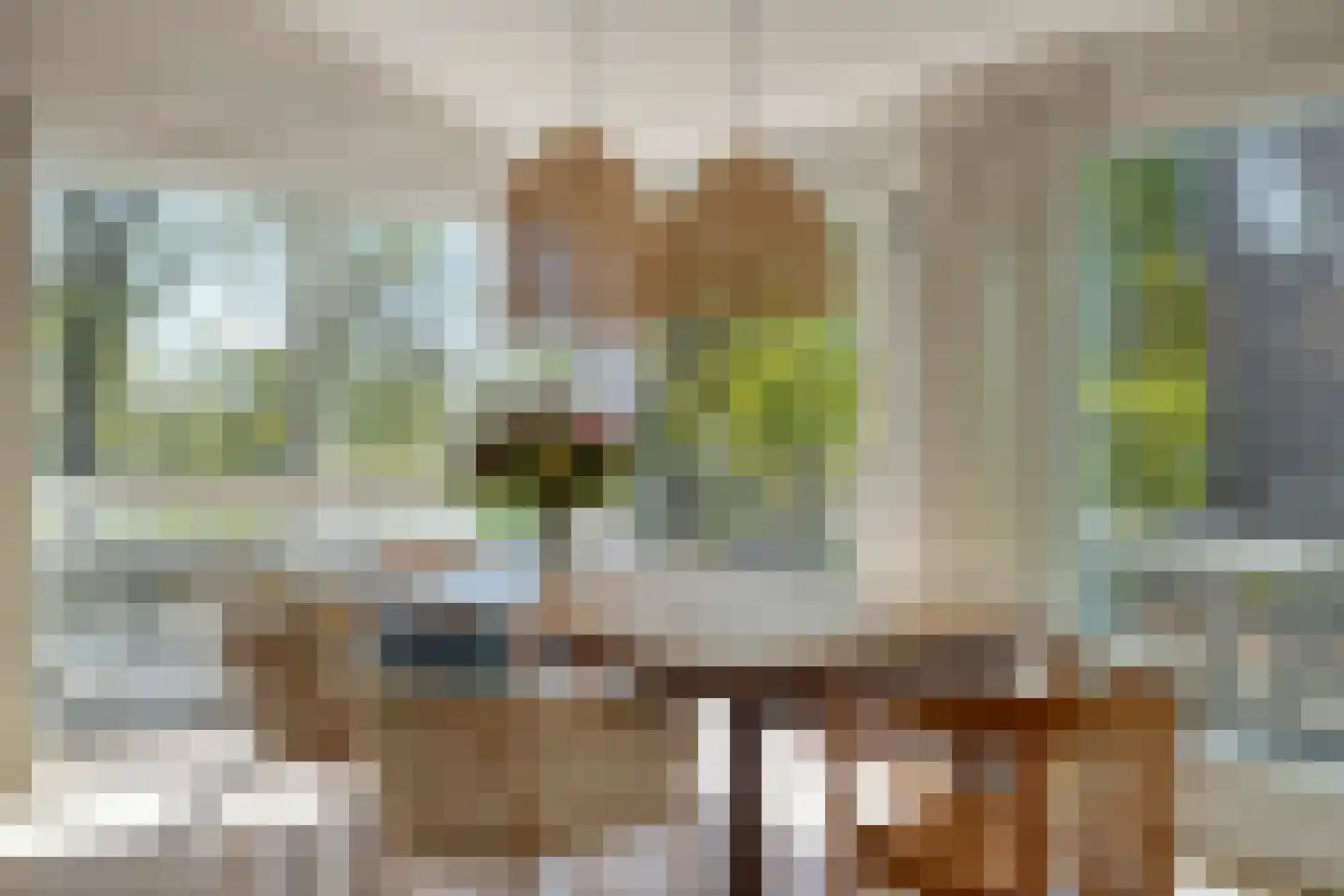 Schelling 6 Herkenbosch thumbnail 20