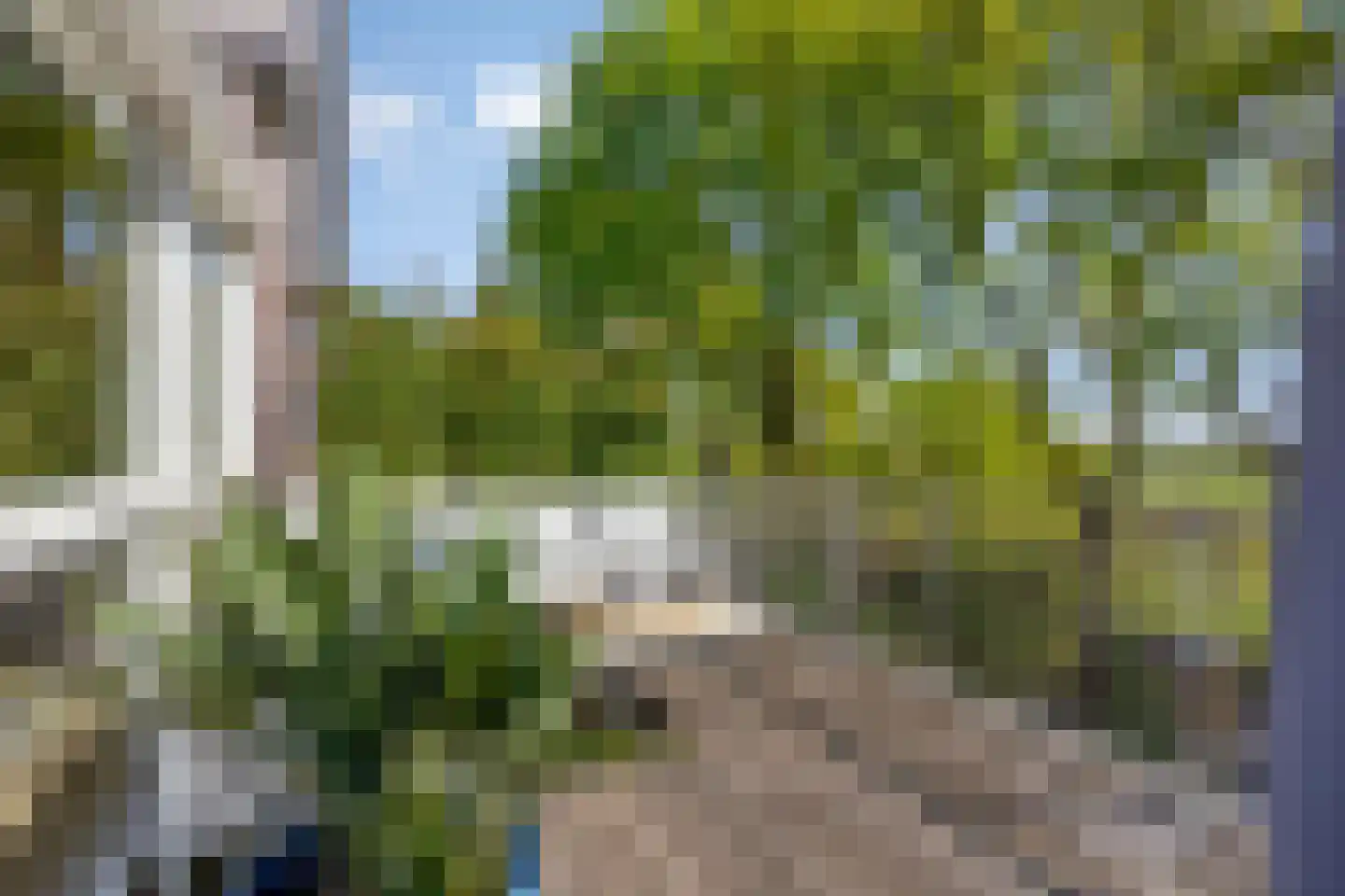 Schelling 6 Herkenbosch thumbnail 26