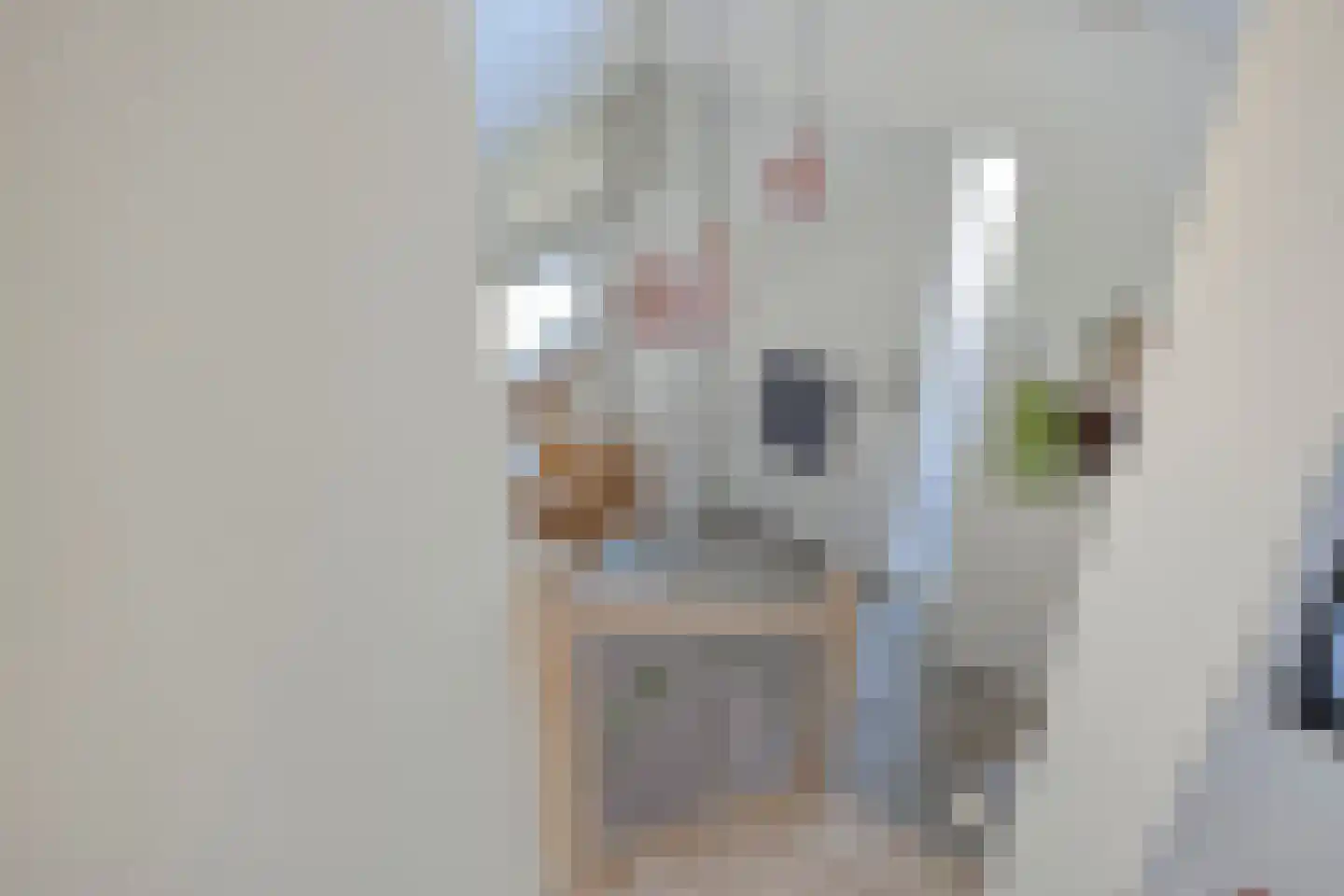 Schelling 6 Herkenbosch thumbnail 30