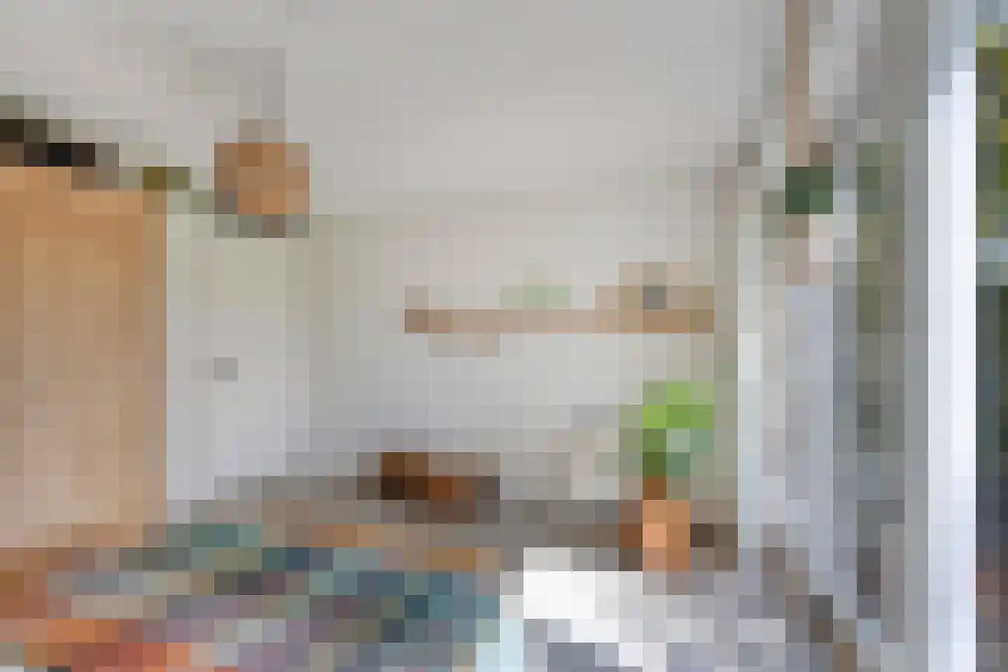 Schelling 6 Herkenbosch thumbnail 33
