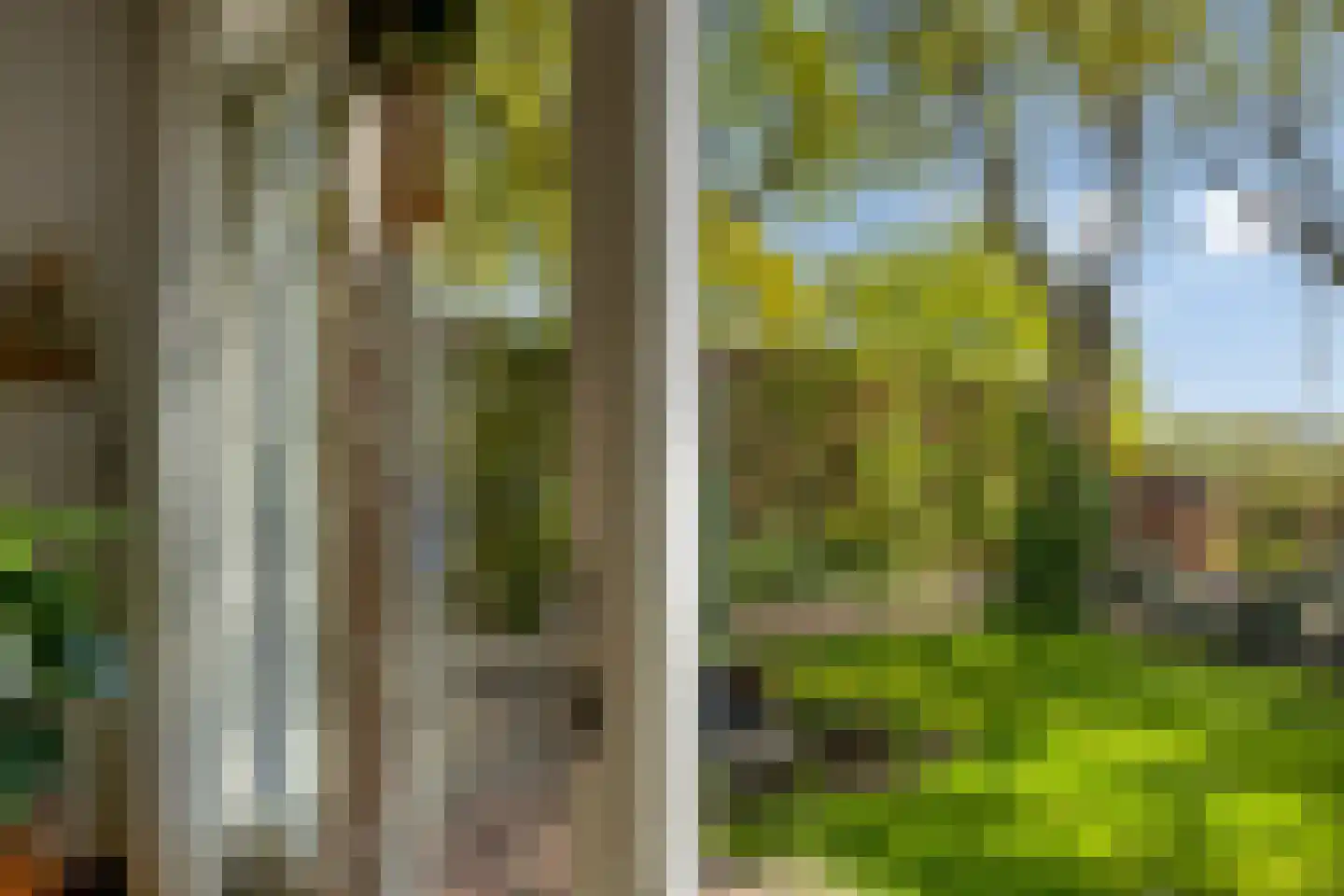 Schelling 6 Herkenbosch thumbnail 34