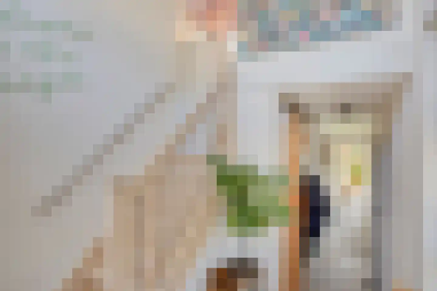 Schelling 6 Herkenbosch thumbnail 4