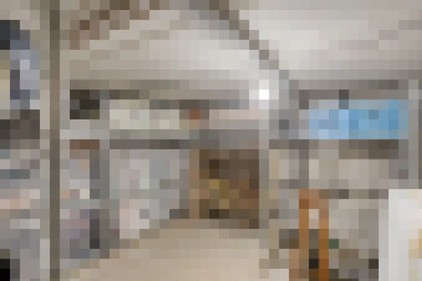 Schelling 6 Herkenbosch thumbnail 44