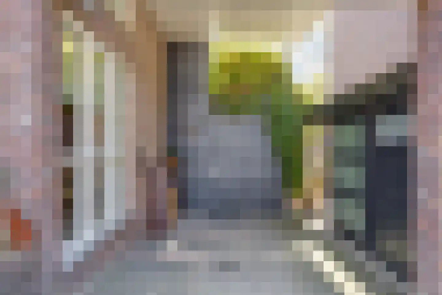 Schelling 6 Herkenbosch thumbnail 46