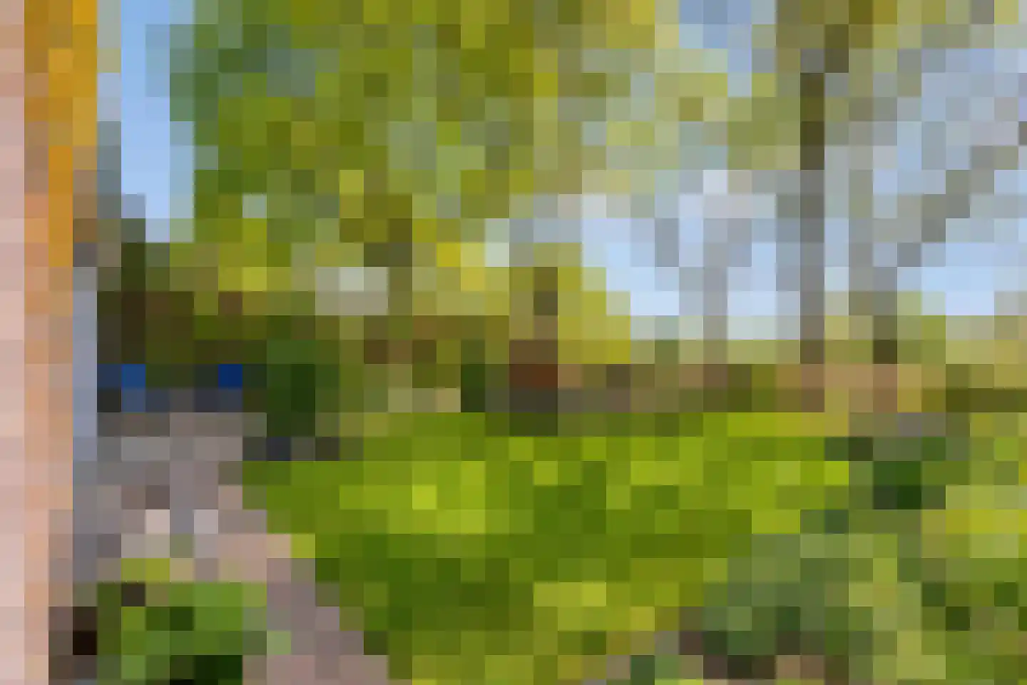 Schelling 6 Herkenbosch thumbnail 47