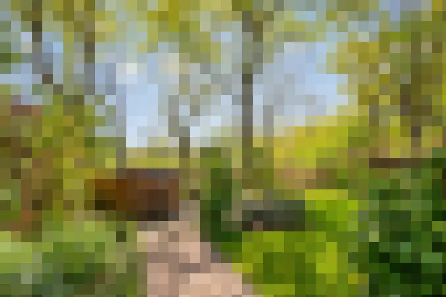 Schelling 6 Herkenbosch thumbnail 48