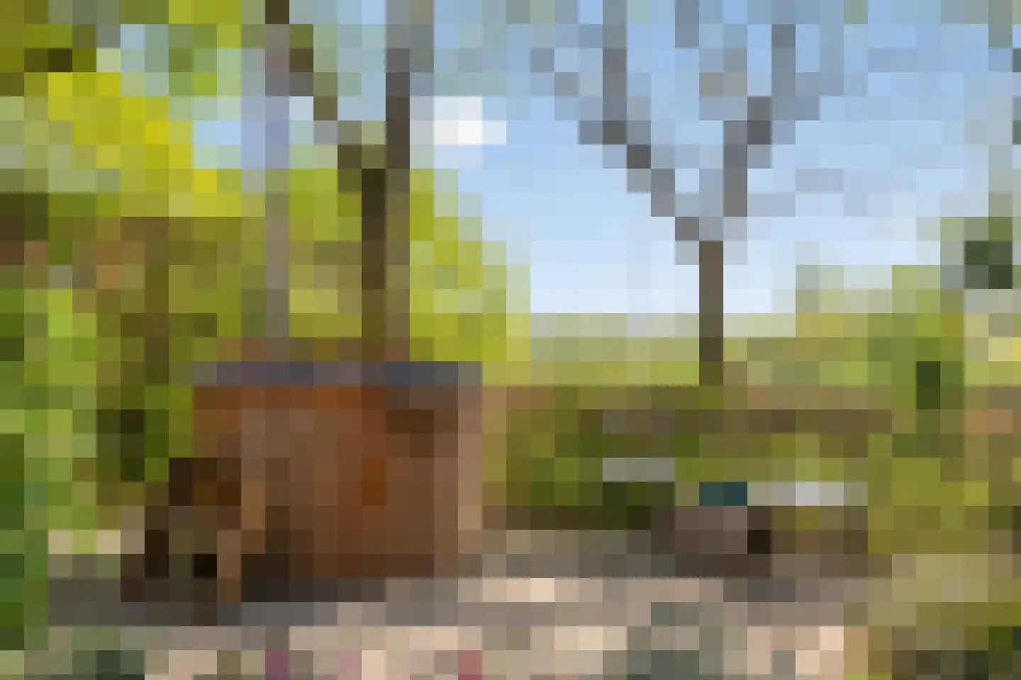 Schelling 6 Herkenbosch thumbnail 49