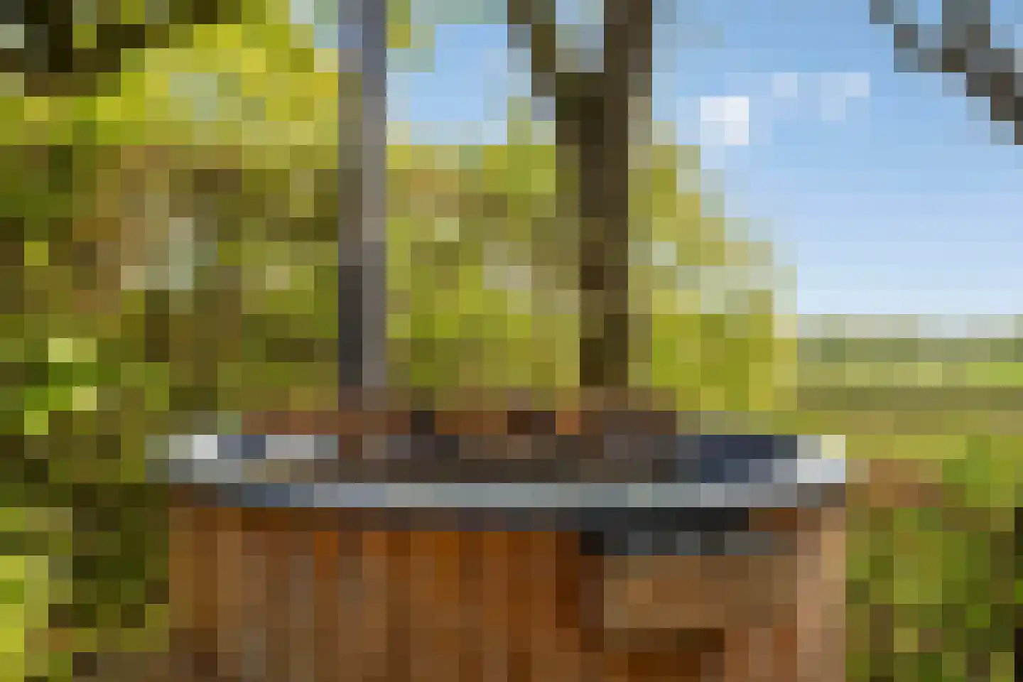 Schelling 6 Herkenbosch thumbnail 50