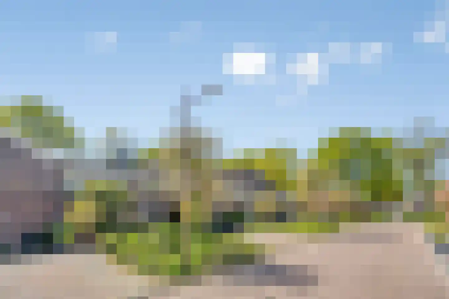 Schelling 6 Herkenbosch thumbnail 58