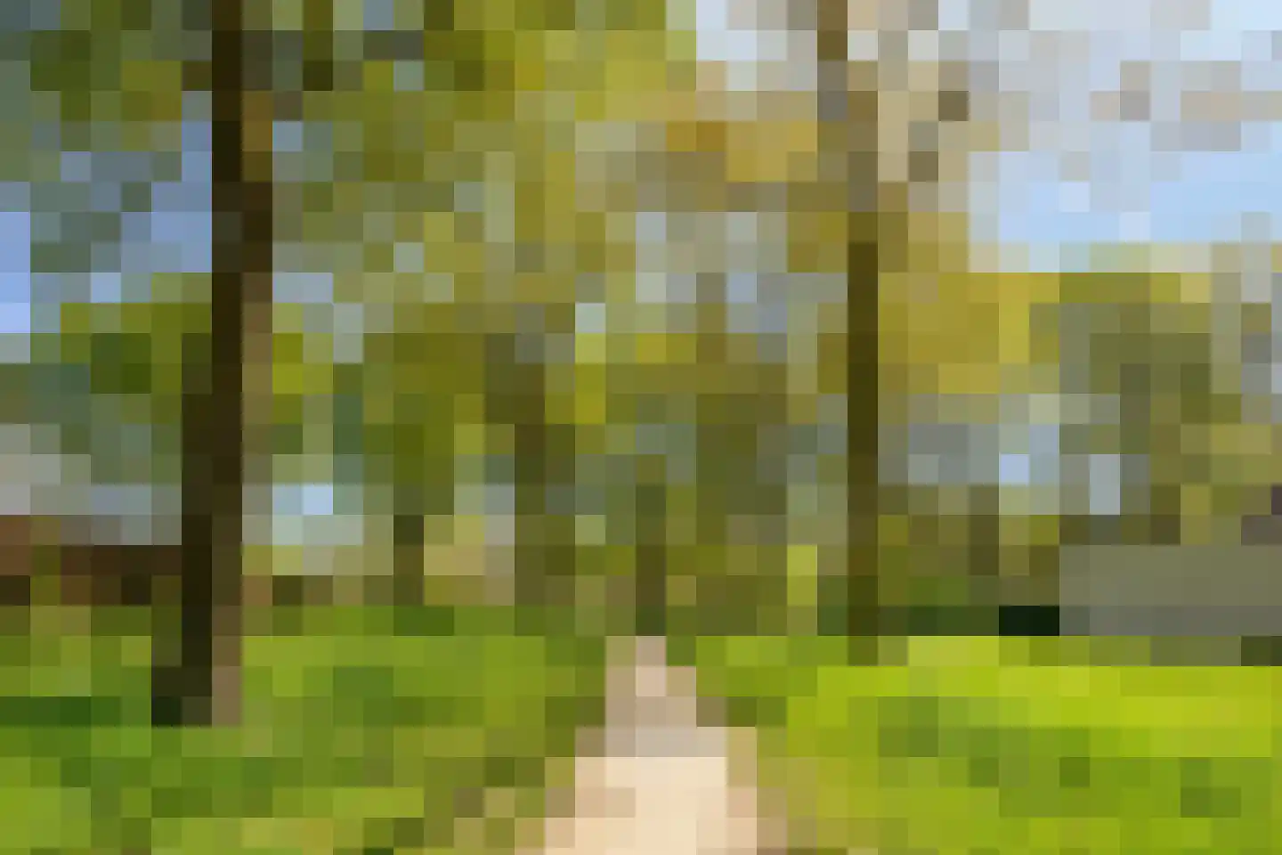 Schelling 6 Herkenbosch thumbnail 60
