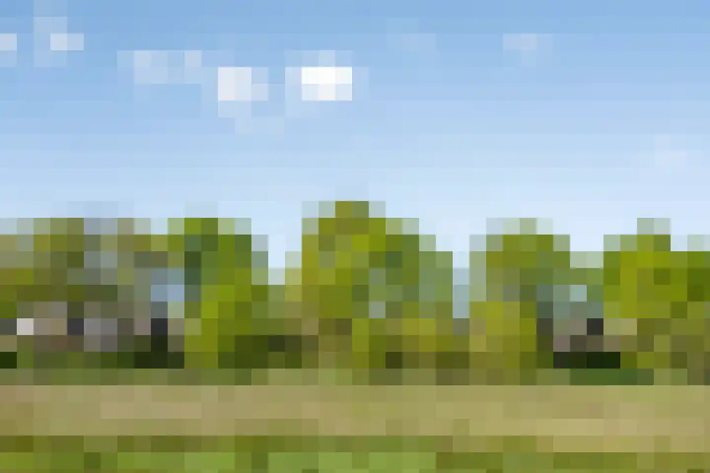Schelling 6 Herkenbosch thumbnail 61