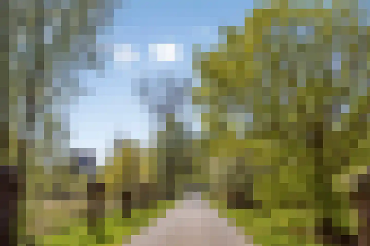 Schelling 6 Herkenbosch thumbnail 62