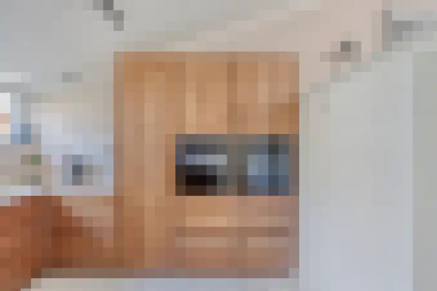 Schelling 6 Herkenbosch thumbnail 7